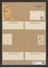 Diatomeae indet. Zeichnungen Sammlung Grunow Nr. 8478 (NHMW-BOT-W0377936)